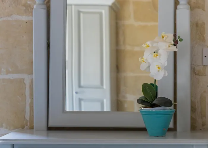 3 - Family X 3 By Solea 3*